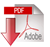 Adobe download Icon